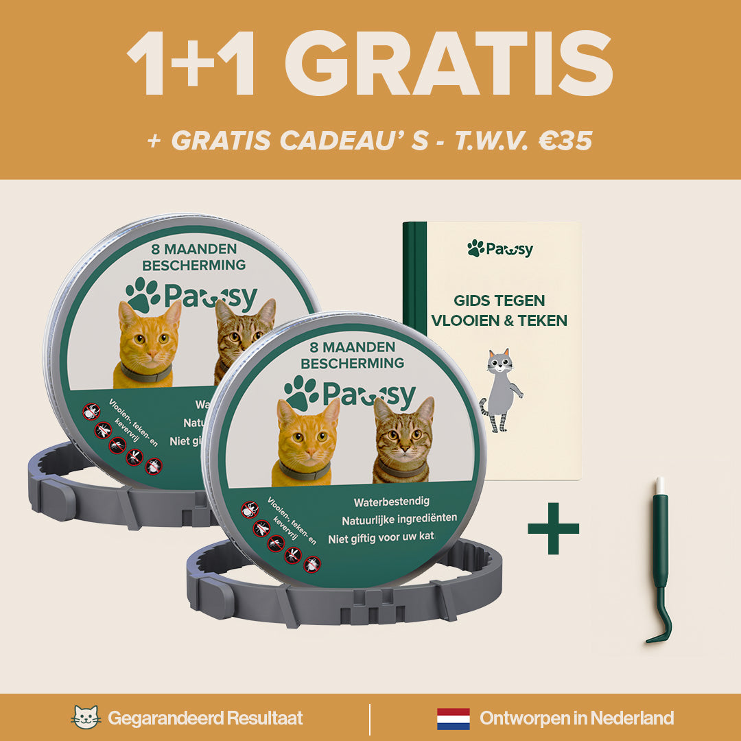 Pawsy™ – Anti-Flea and Tick Collar for Cats