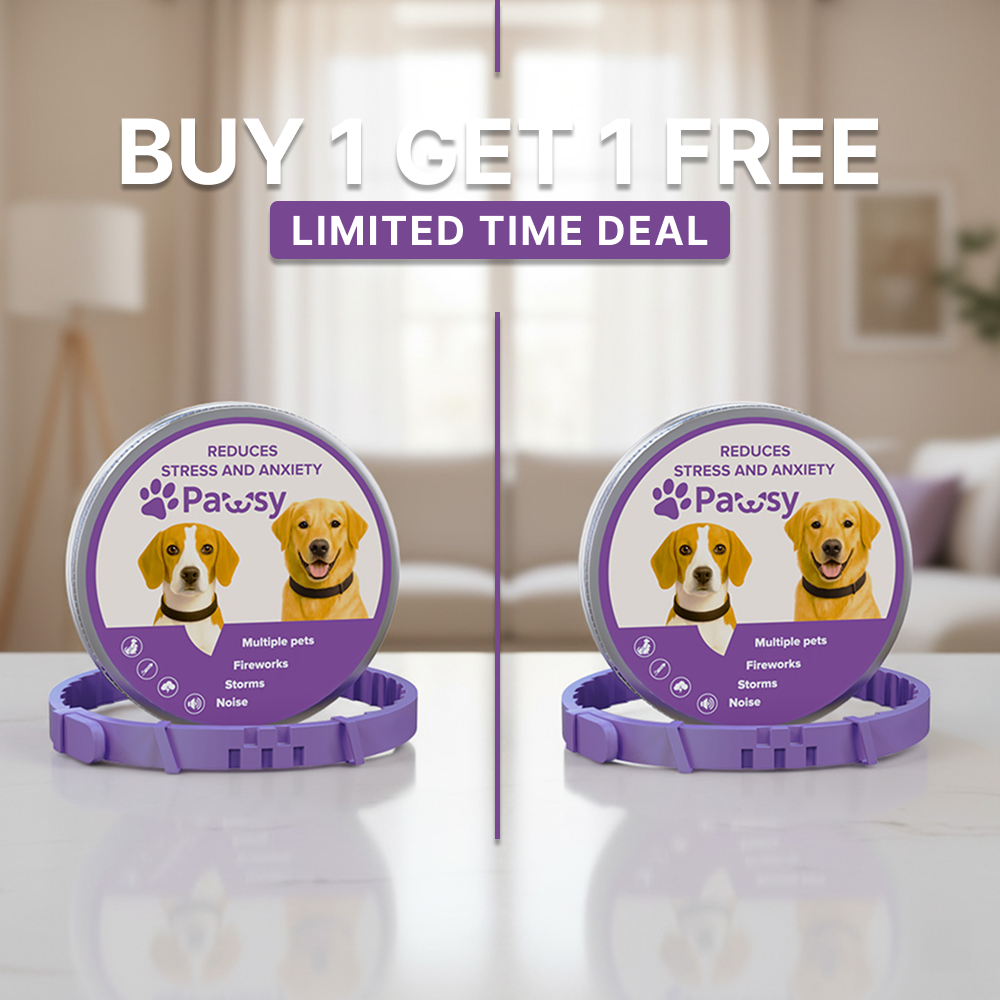 Pawsy™ – Anti-stress and anxiety collar for dogs