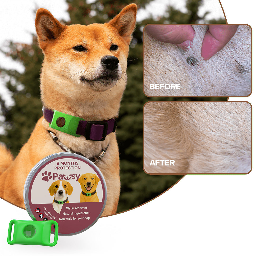 Pawsy™ – Anti-Flea & Tick Pendant for Dogs