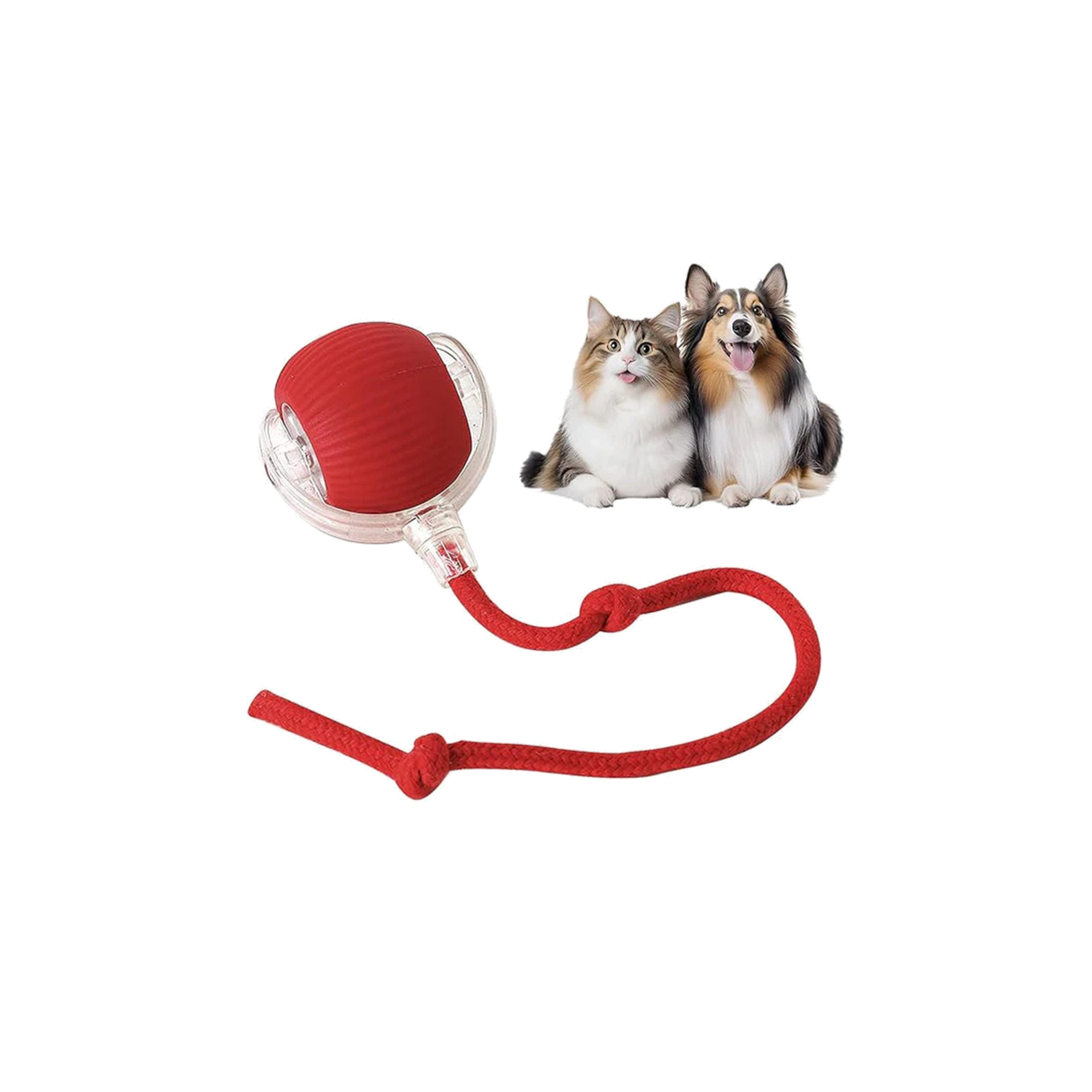 Pawsy ™ - Smart Play Ball