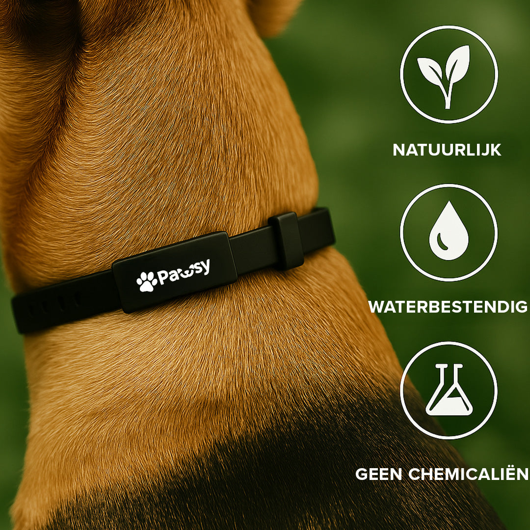 Pawsy™ – Anti-Flea and Tick Collar for Dogs