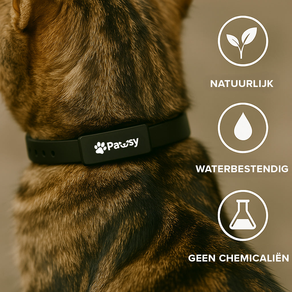 Pawsy™ – Anti-Flea and Tick Collar for Cats