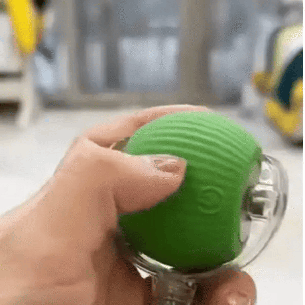 Pawsy ™ - Smart Play Ball