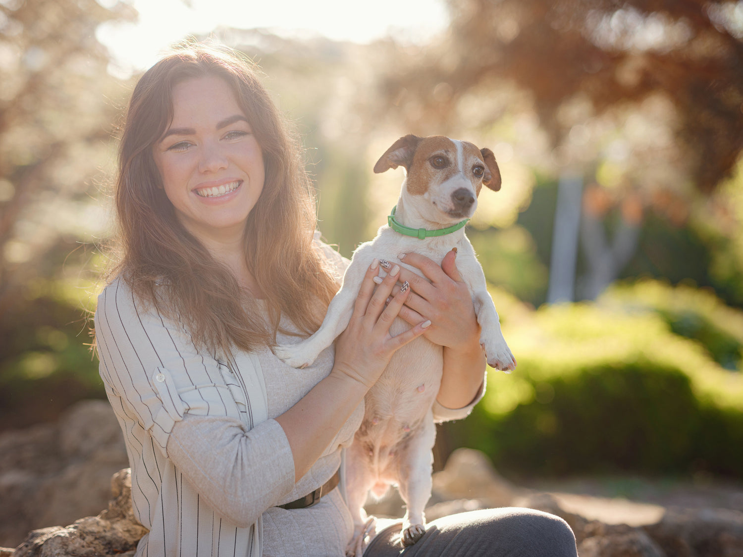 Collars for dogs and cats