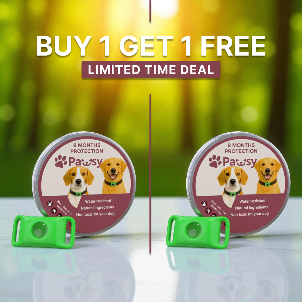 Pawsy™ – Anti-Flea & Tick Pendant for Dogs