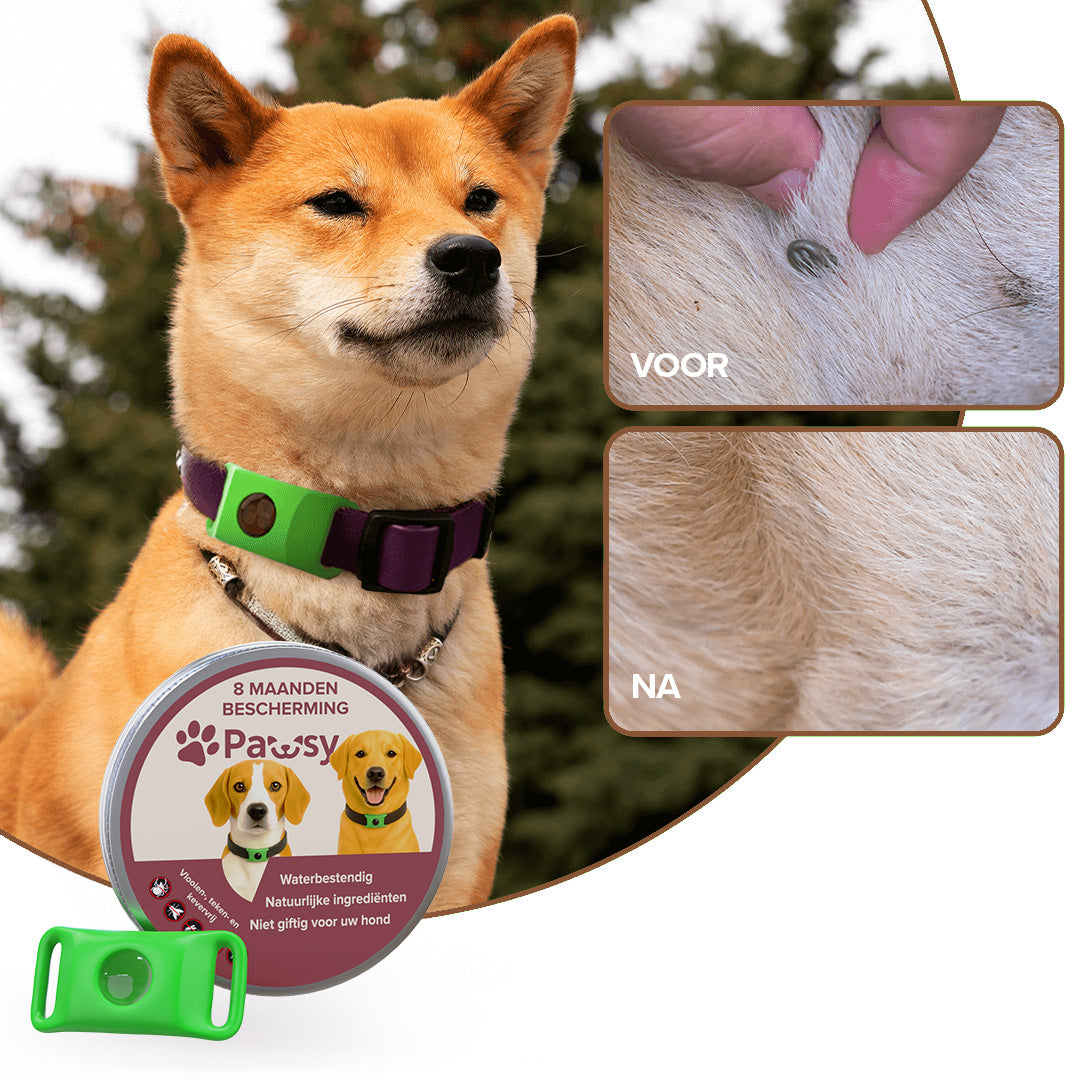 Pawsy™ – Anti-Flea and Tick Tag for Dogs
