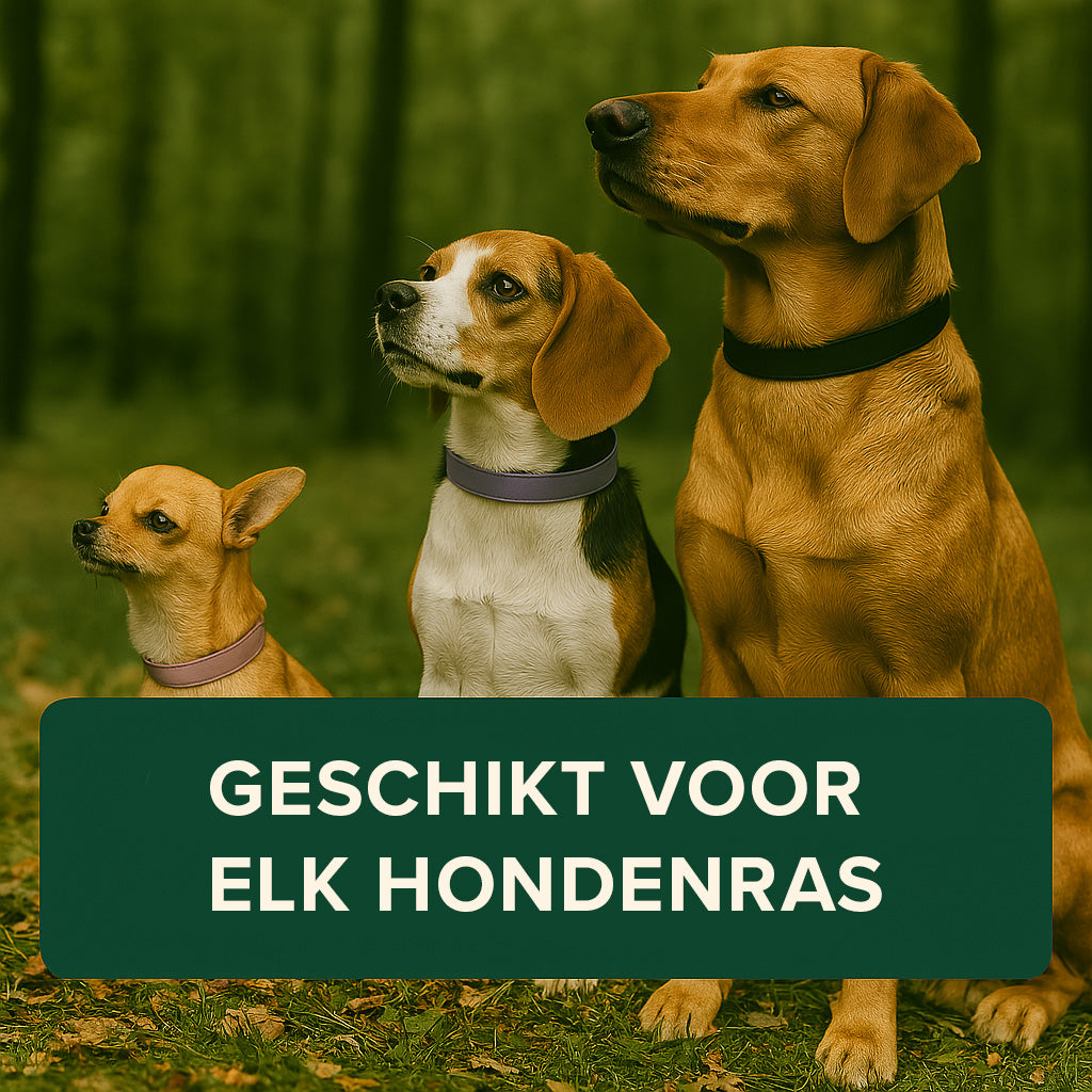 Pawsy™ – Anti-Flea and Tick Collar for Dogs