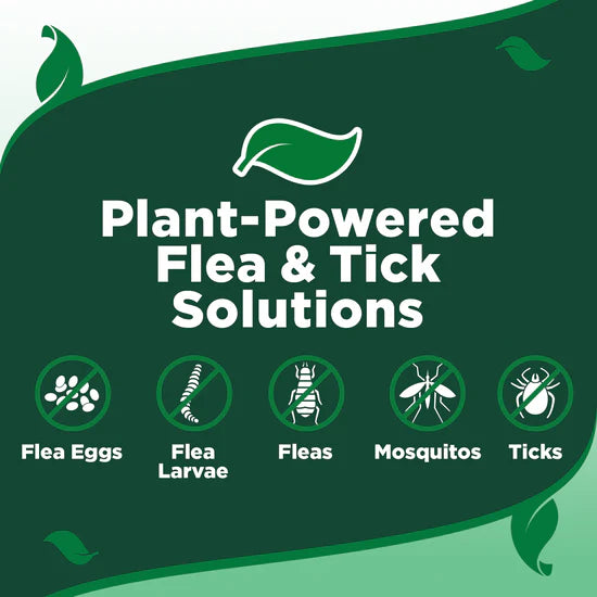 Pawsy™ – Flea & Tick Home & Dog Spray 500 mL