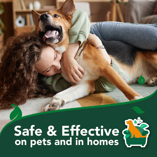 Pawsy™ – Flea & Tick Home & Dog Spray 500 mL