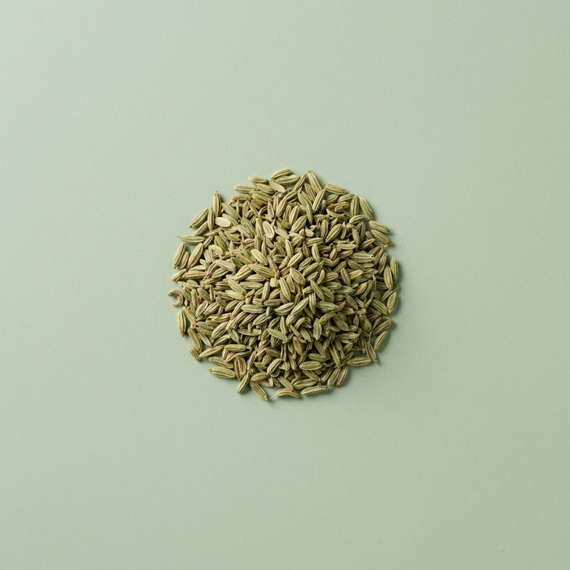 Fennel Seed