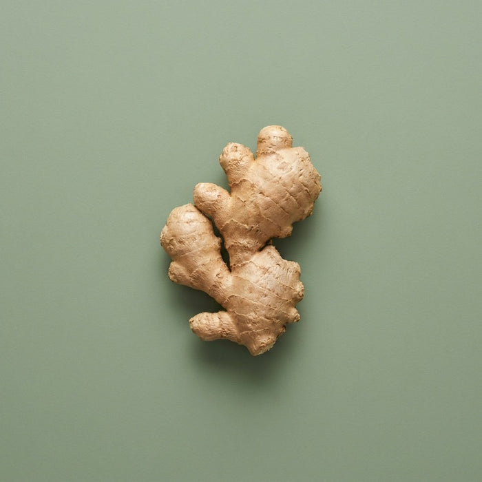 Ginger Root