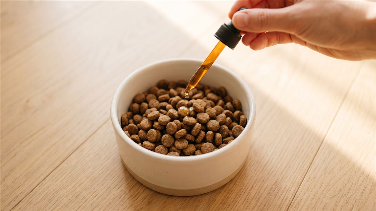 How to give Pawsy drops